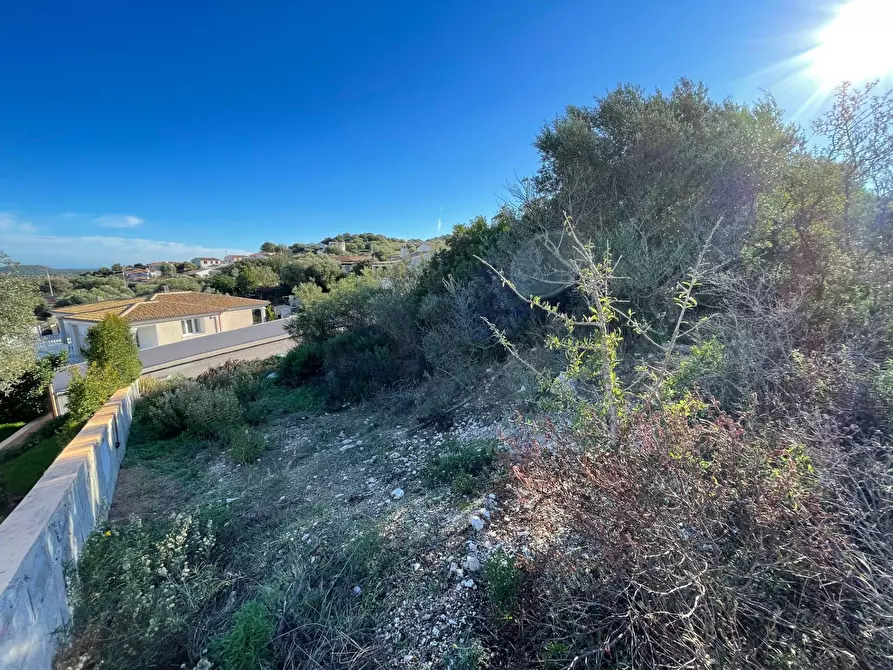 Immagine 6 di Terreno residenziale in vendita  in CUGNANA FIORI LOIRI S.N. a Aggius
