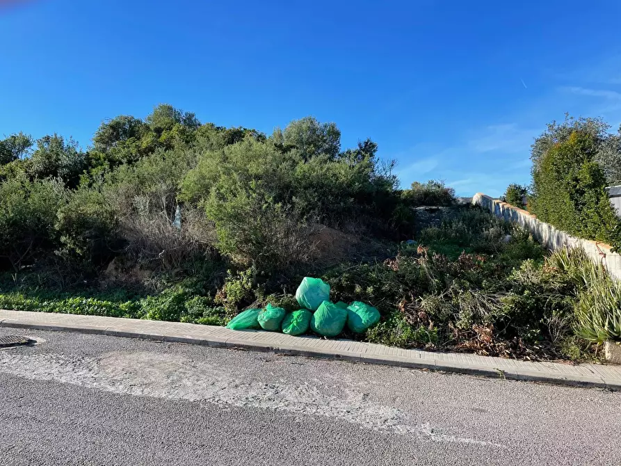 Immagine 8 di Terreno residenziale in vendita  in CUGNANA FIORI LOIRI S.N. a Aggius