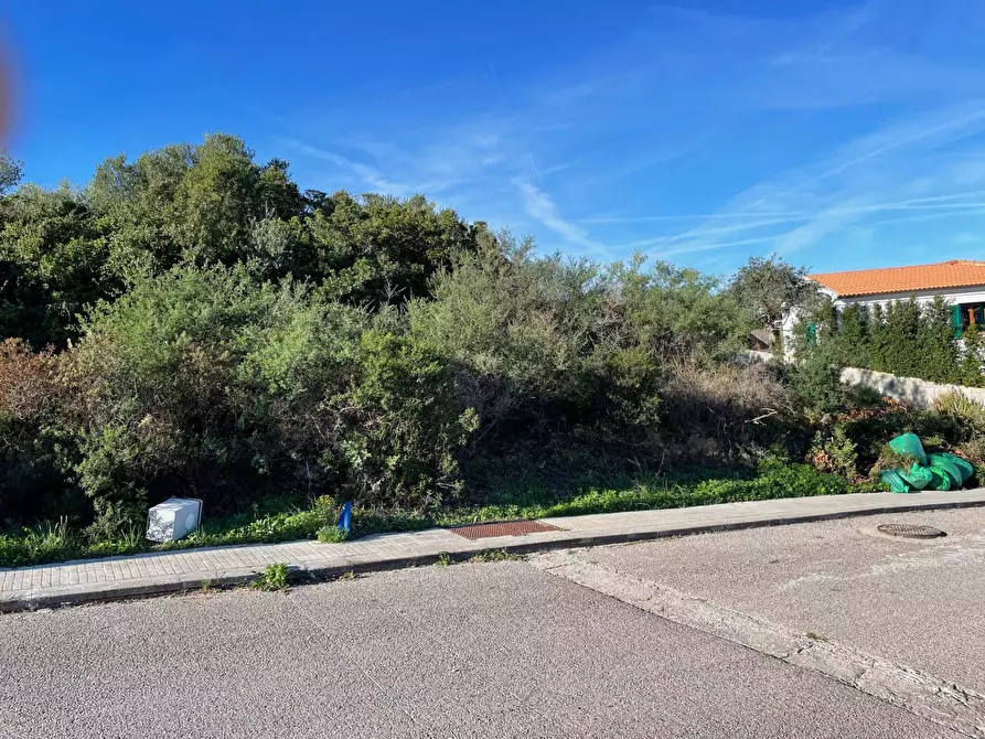 Immagine 9 di Terreno residenziale in vendita  in CUGNANA FIORI LOIRI S.N. a Aggius