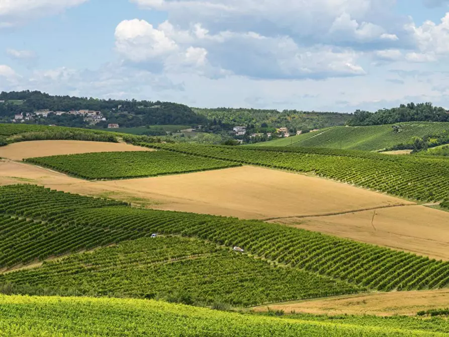 Immagine 28 di Rustico / casale in vendita  in Via Cavour 9 a Belveglio