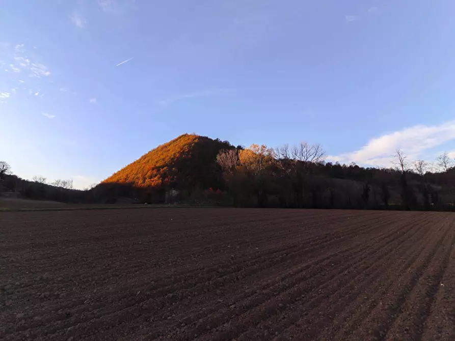 Immagine 4 di Casa indipendente in vendita  in Borgata Basso Erro 6 a Melazzo