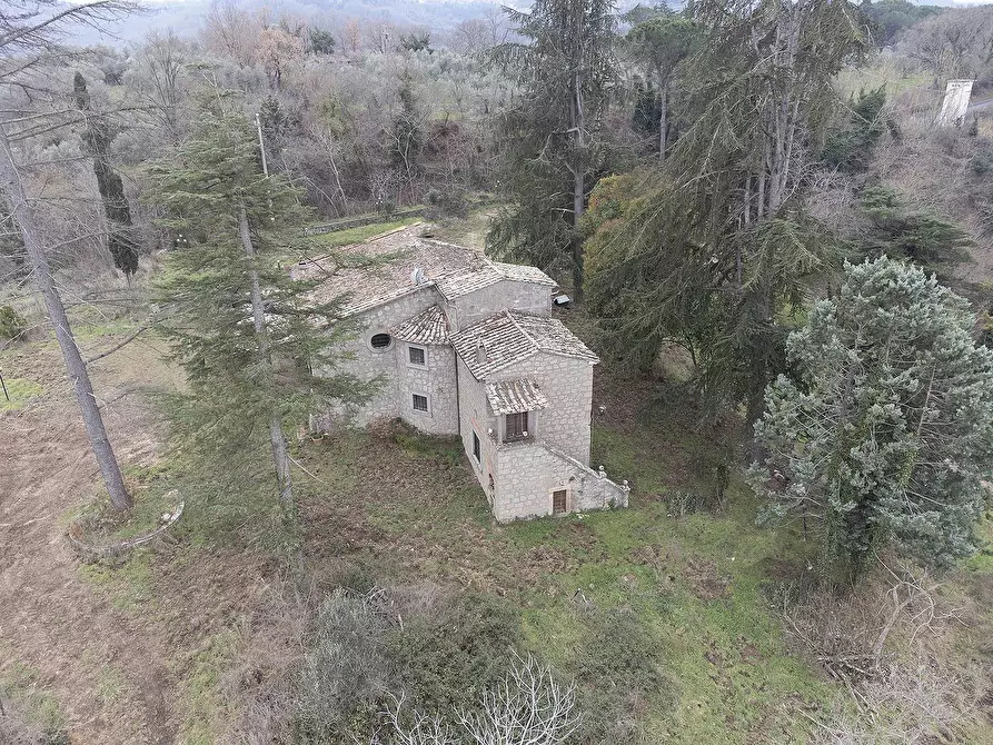 Immagine 50 di Rustico / casale in vendita  in Strada Provinciale Bomarzese a Bomarzo