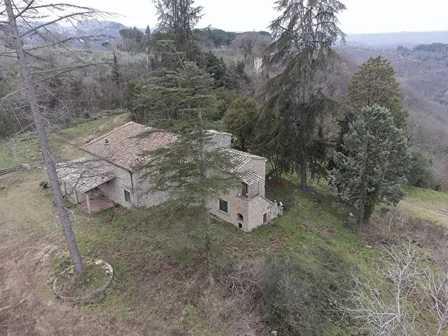 Immagine 51 di Rustico / casale in vendita  in Strada Provinciale Bomarzese a Bomarzo