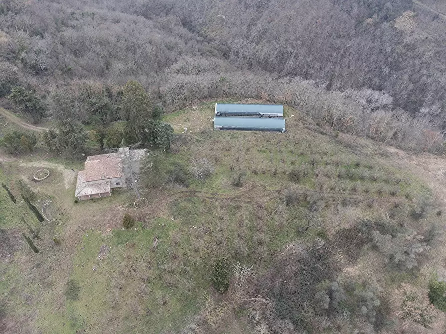 Immagine 53 di Rustico / casale in vendita  in Strada Provinciale Bomarzese a Bomarzo