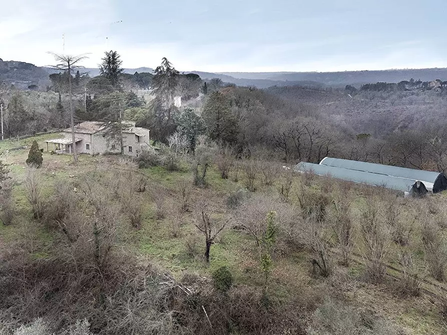 Immagine 55 di Rustico / casale in vendita  in Strada Provinciale Bomarzese a Bomarzo