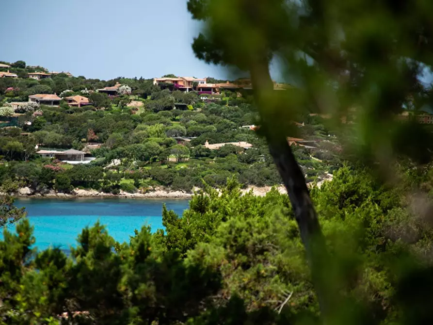 Immagine 1 di Appartamento in vendita  in Porto Cervo - Cala Granu a Arzachena