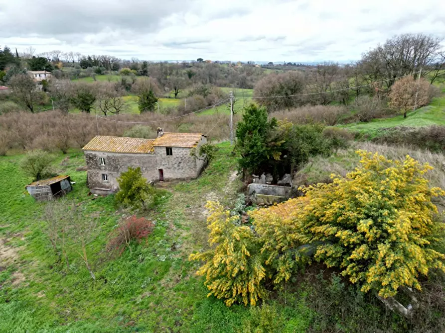 Immagine 1 di Rustico / casale in vendita  in Strada Mazzatosta a Bassano In Teverina