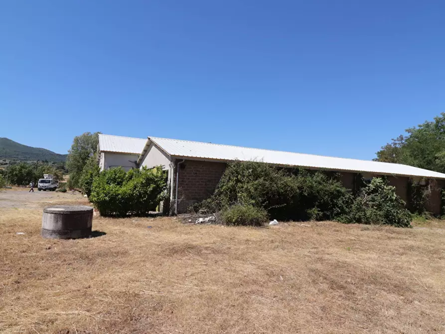 Immagine 15 di Capannone industriale in vendita  in Strada 151 Ortana snc a Soriano Nel Cimino