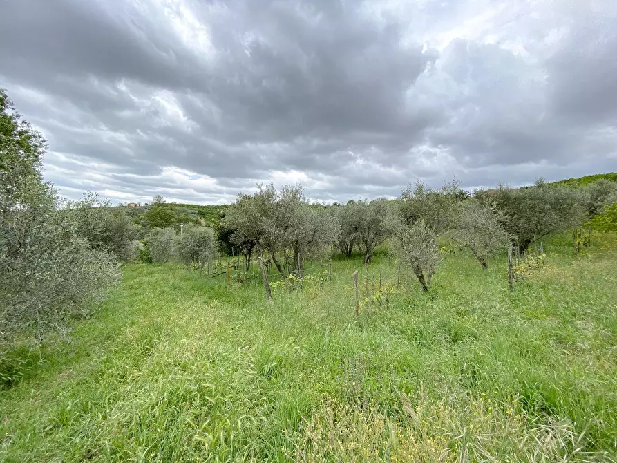 Immagine 1 di Terreno agricolo in vendita  in Via San Giorgio a Soriano Nel Cimino