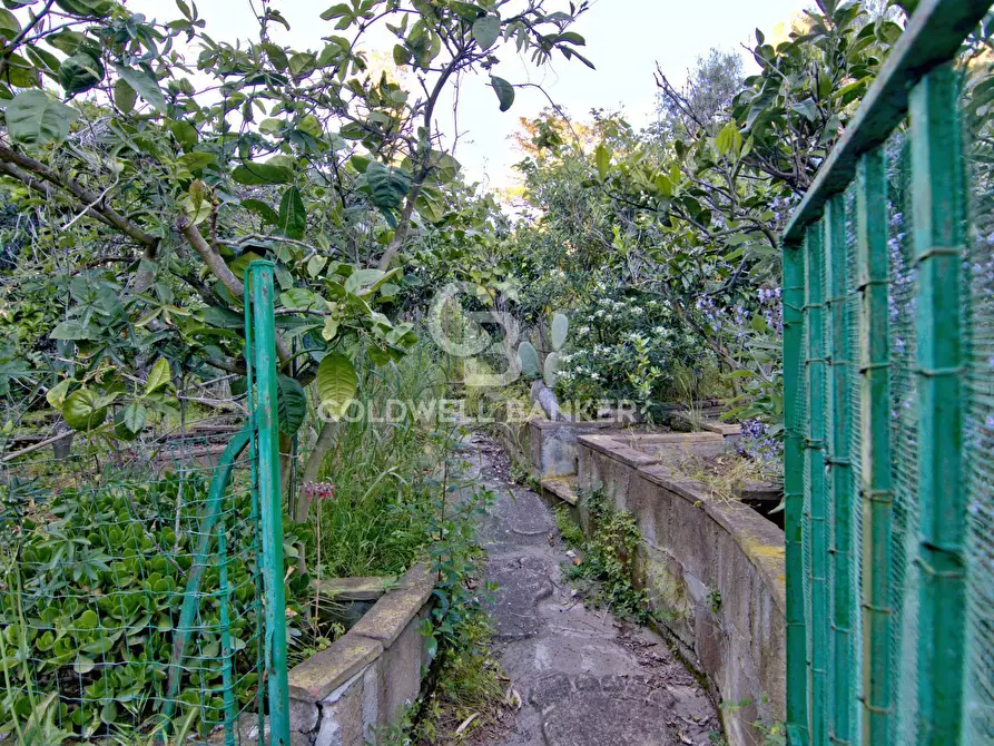 Immagine 46 di Villa in vendita  in Via della Marina 14 a Portoferraio