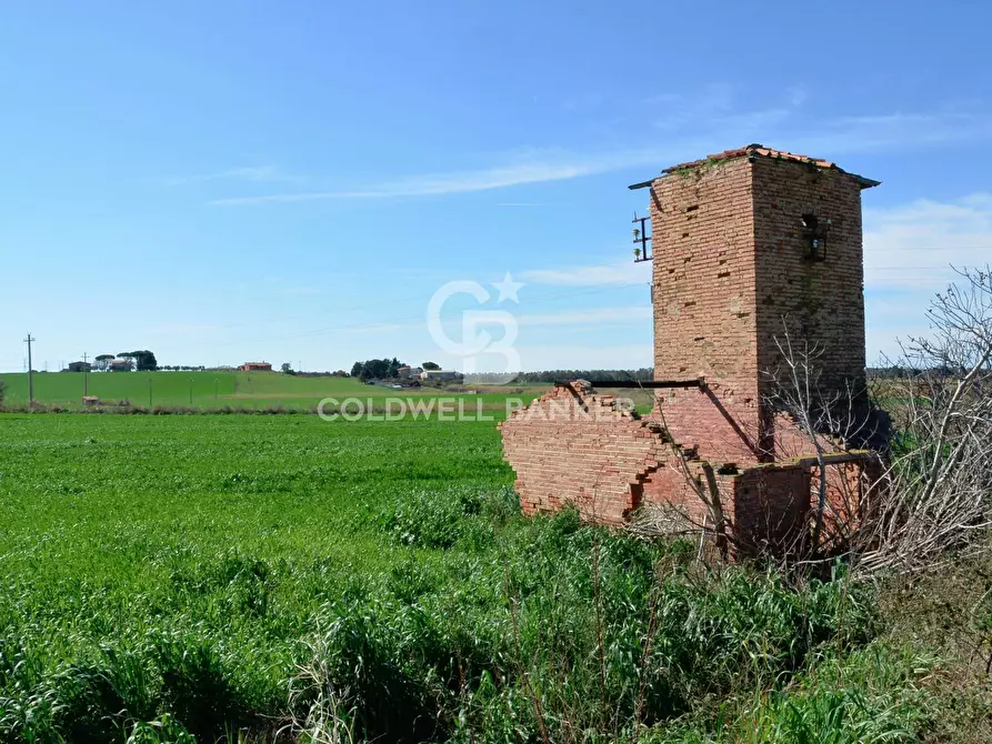 Immagine 5 di Terreno agricolo in vendita  in Località Pantano di Sotto snc a Tarquinia