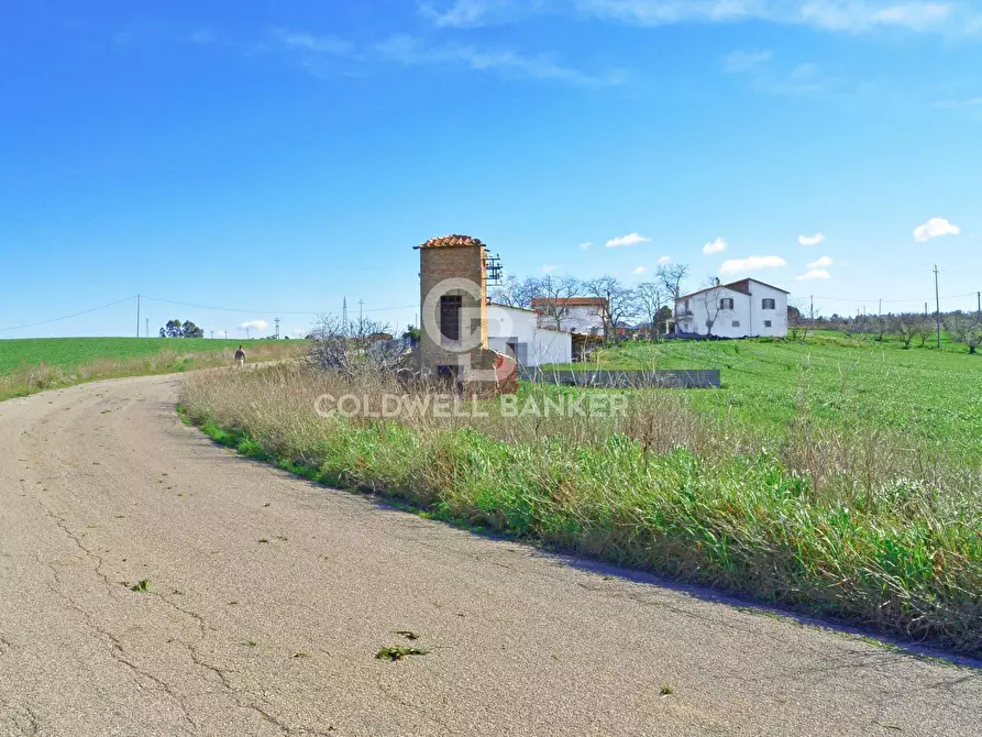 Immagine 7 di Terreno agricolo in vendita  in Località Pantano di Sotto snc a Tarquinia