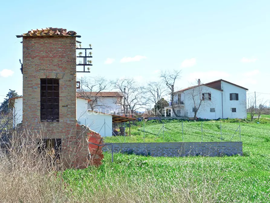 Immagine 9 di Terreno agricolo in vendita  in Località Pantano di Sotto snc a Tarquinia
