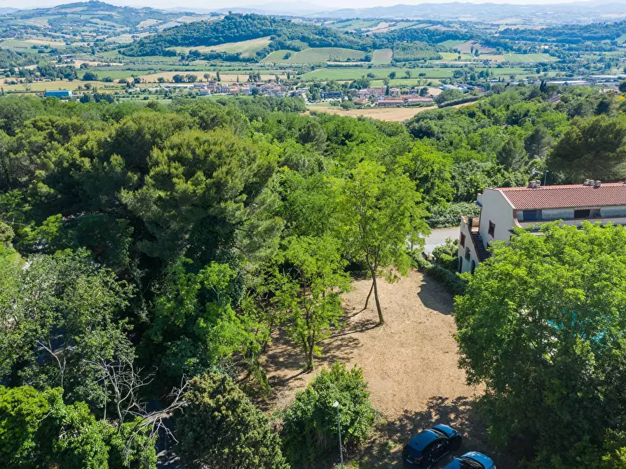 Immagine 15 di Terreno residenziale in vendita  in Via Località Vigna Del Mar a Gabicce Mare