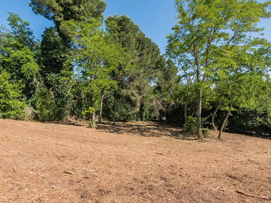 Immagine 5 di Terreno residenziale in vendita  in Via Località Vigna Del Mar a Gabicce Mare