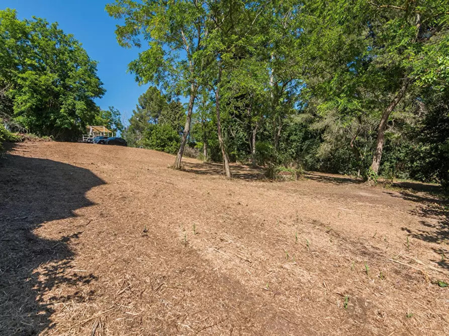 Immagine 6 di Terreno residenziale in vendita  in Via Località Vigna Del Mar a Gabicce Mare