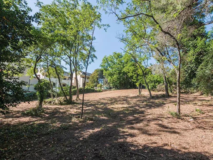 Immagine 7 di Terreno residenziale in vendita  in Via Località Vigna Del Mar a Gabicce Mare