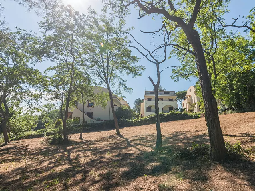 Immagine 8 di Terreno residenziale in vendita  in Via Località Vigna Del Mar a Gabicce Mare