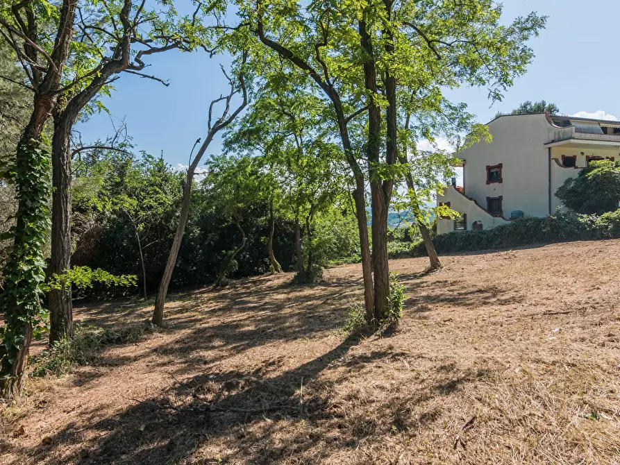 Immagine 9 di Terreno residenziale in vendita  in Via Località Vigna Del Mar a Gabicce Mare