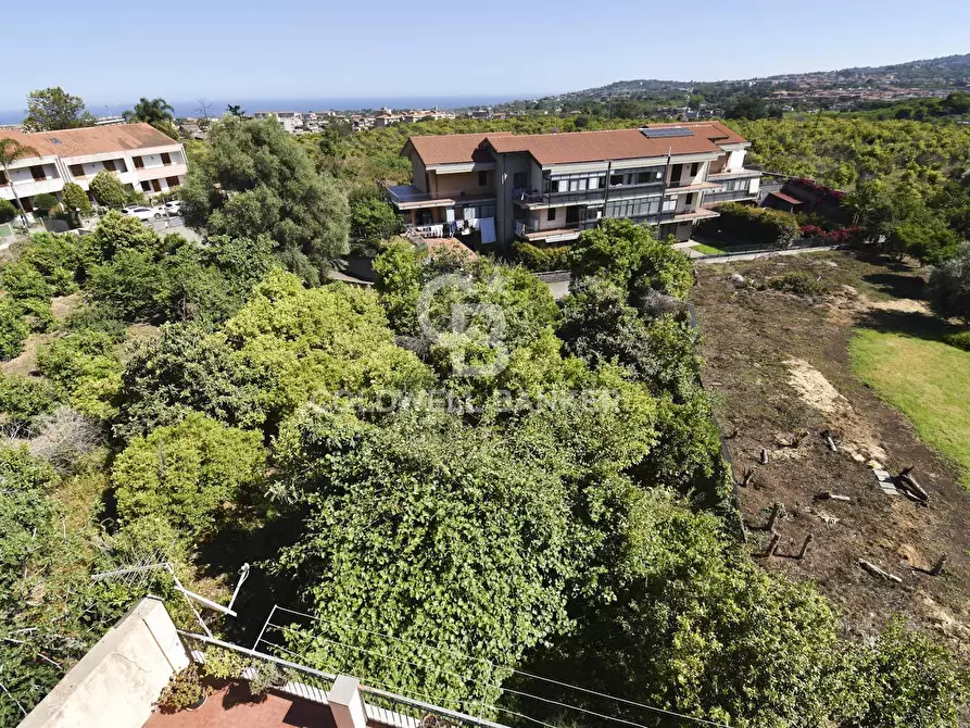 Immagine 15 di Appartamento in vendita  in via Sciarelle 91 a Acireale