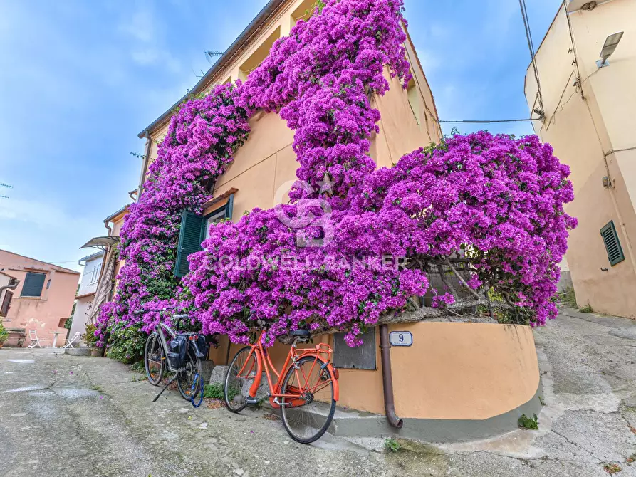 Immagine 31 di Appartamento in vendita  in Via Aia Grande 13 a Campo Nell'elba