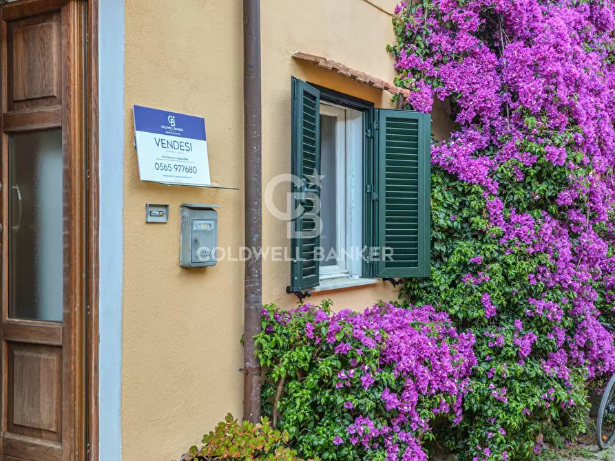Immagine 20 di Appartamento in vendita  in Via Aia Grande 13 a Campo Nell'elba