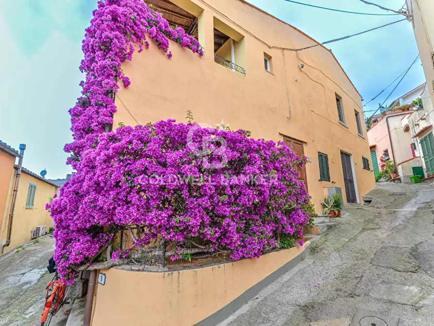 Immagine 32 di Appartamento in vendita  in Via Aia Grande 13 a Campo Nell'elba