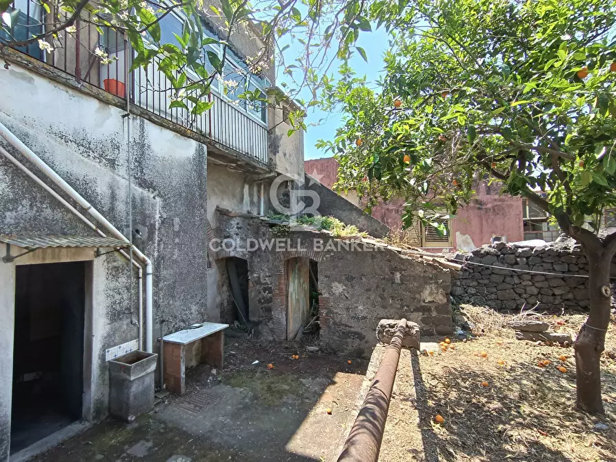 Immagine 1 di Casa indipendente in vendita  in via Sciarelle 248 a Acireale
