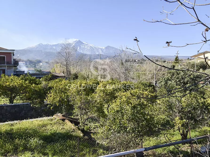 Immagine 14 di Casa indipendente in vendita  in via Don Oreste Benzi 29 a Milo