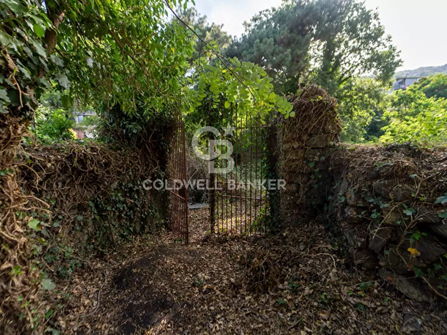 Immagine 37 di Casa indipendente in vendita  in via Fausto Coppi 3 a Zafferana Etnea