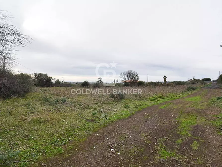 Immagine 1 di Terreno agricolo in vendita  in Contrada Ferraria a Belpasso