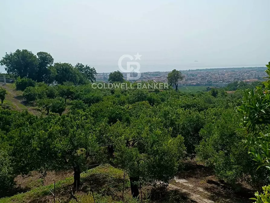 Immagine 4 di Terreno agricolo in vendita  in via Pennisi a Mascali