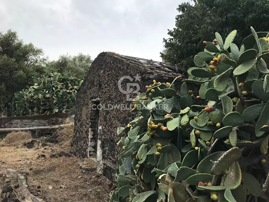 Immagine 1 di Terreno agricolo in vendita  in Vico Billy a Aci Castello