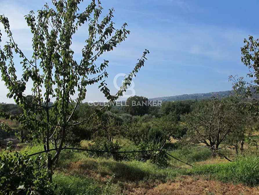 Immagine 20 di Terreno agricolo in vendita  in via Fossa Aglistro II Traversa a Piedimonte Etneo