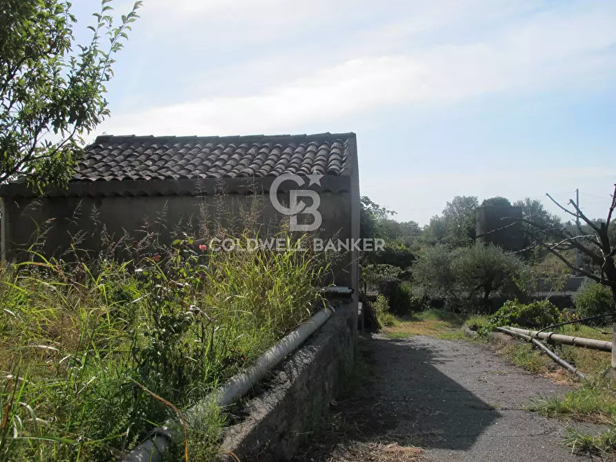 Immagine 21 di Terreno agricolo in vendita  in via Fossa Aglistro II Traversa a Piedimonte Etneo