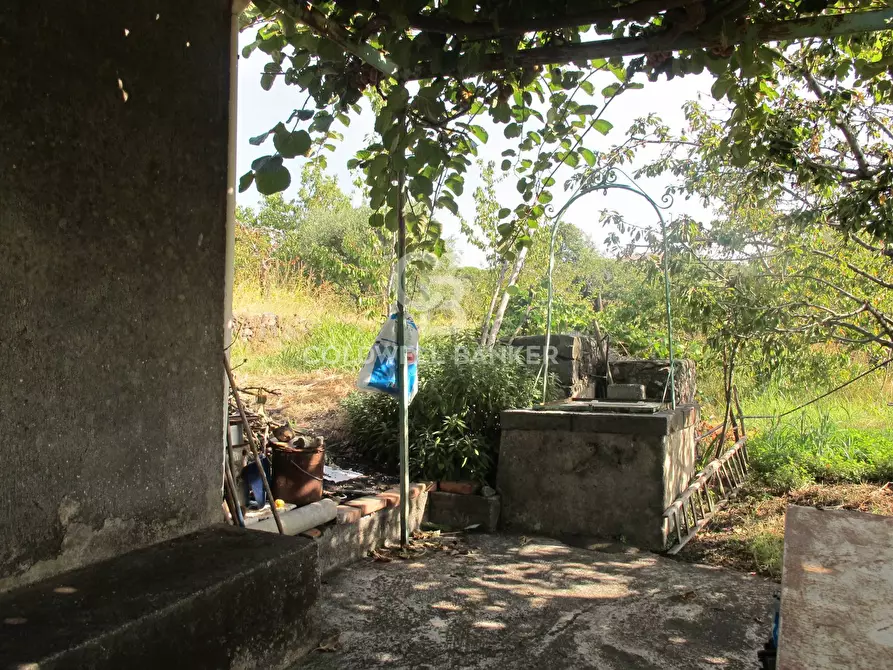 Immagine 23 di Terreno agricolo in vendita  in via Fossa Aglistro II Traversa a Piedimonte Etneo