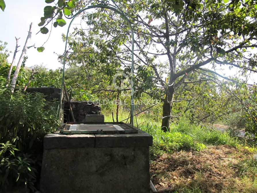 Immagine 24 di Terreno agricolo in vendita  in via Fossa Aglistro II Traversa a Piedimonte Etneo