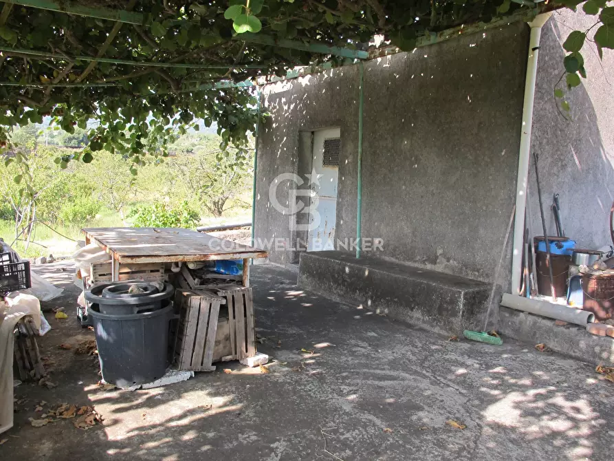 Immagine 25 di Terreno agricolo in vendita  in via Fossa Aglistro II Traversa a Piedimonte Etneo