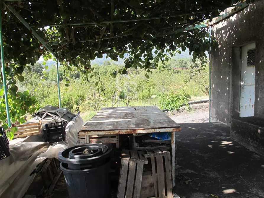 Immagine 26 di Terreno agricolo in vendita  in via Fossa Aglistro II Traversa a Piedimonte Etneo