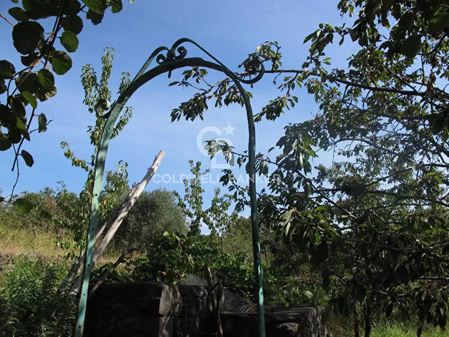 Immagine 27 di Terreno agricolo in vendita  in via Fossa Aglistro II Traversa a Piedimonte Etneo