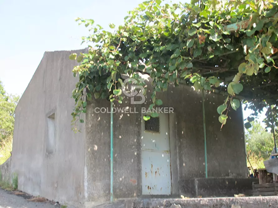 Immagine 29 di Terreno agricolo in vendita  in via Fossa Aglistro II Traversa a Piedimonte Etneo