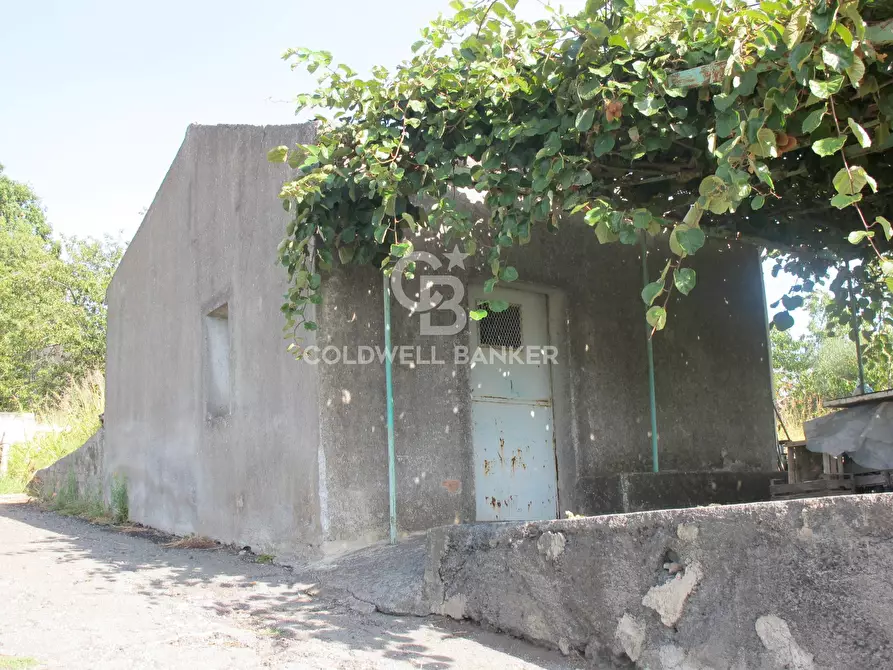 Immagine 30 di Terreno agricolo in vendita  in via Fossa Aglistro II Traversa a Piedimonte Etneo