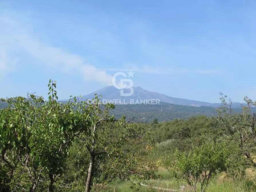 Immagine 31 di Terreno agricolo in vendita  in via Fossa Aglistro II Traversa a Piedimonte Etneo
