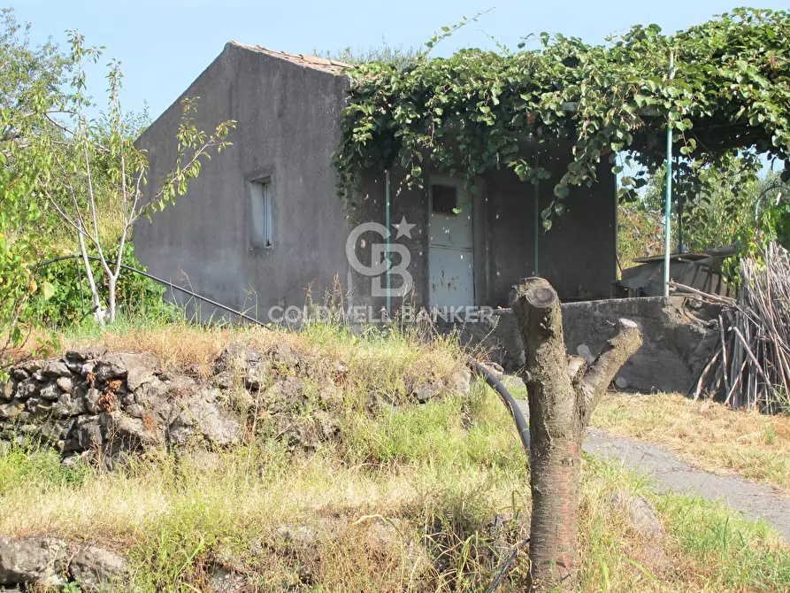Immagine 33 di Terreno agricolo in vendita  in via Fossa Aglistro II Traversa a Piedimonte Etneo