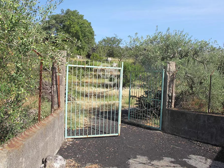 Immagine 34 di Terreno agricolo in vendita  in via Fossa Aglistro II Traversa a Piedimonte Etneo