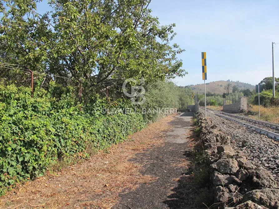 Immagine 38 di Terreno agricolo in vendita  in via Fossa Aglistro II Traversa a Piedimonte Etneo