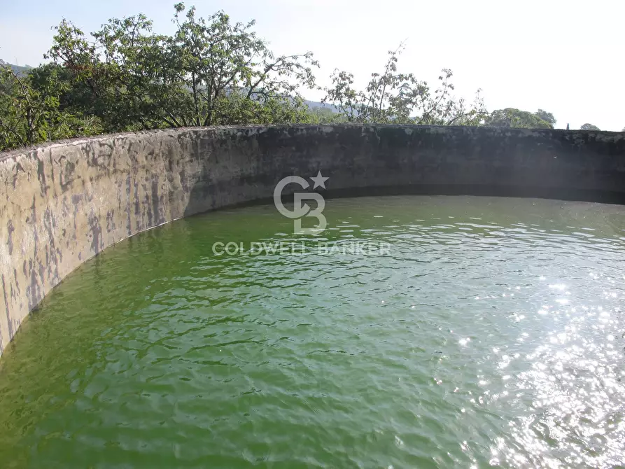 Immagine 39 di Terreno agricolo in vendita  in via Fossa Aglistro II Traversa a Piedimonte Etneo