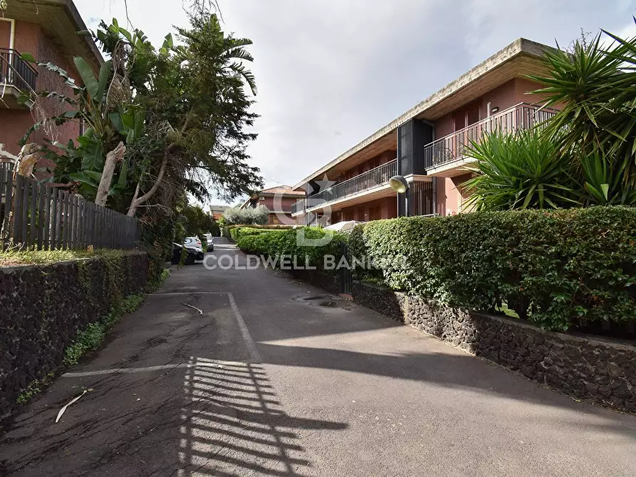 Immagine 3 di Appartamento in vendita  in via Bellini 17 a San Gregorio Di Catania