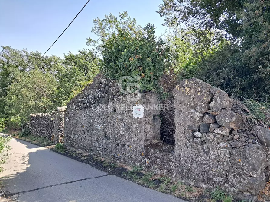 Immagine 1 di Terreno agricolo in vendita  in Via Sciarelle 34 a Piedimonte Etneo