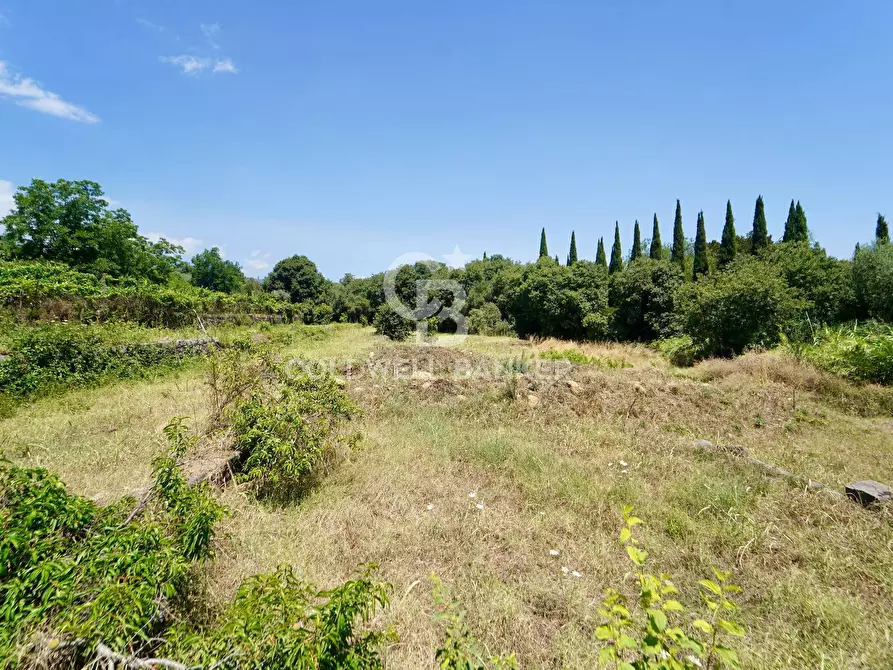 Immagine 1 di Terreno agricolo in vendita  a Giarre